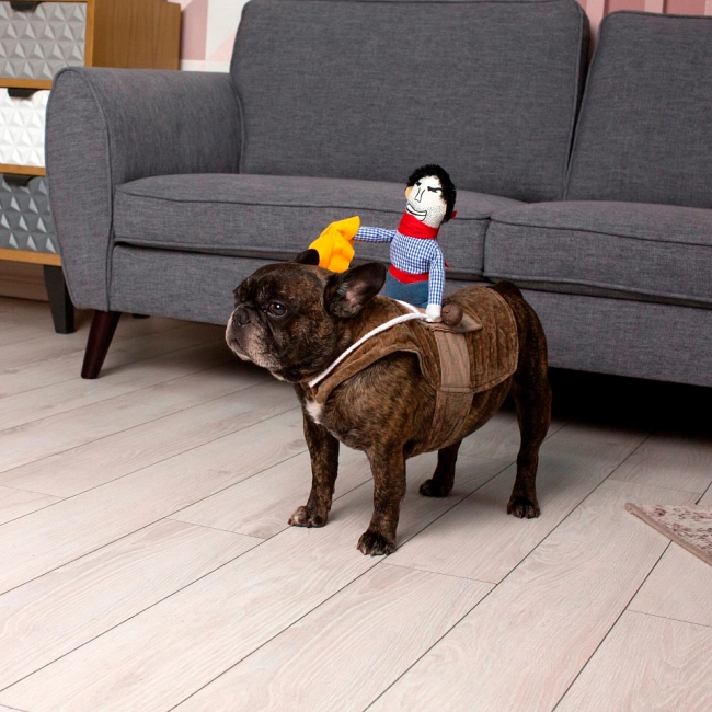 собачий костюм