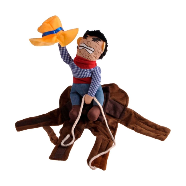 костюм для домашнего питомца