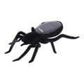 солнечный spider