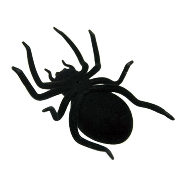 павук на сонячній батареї