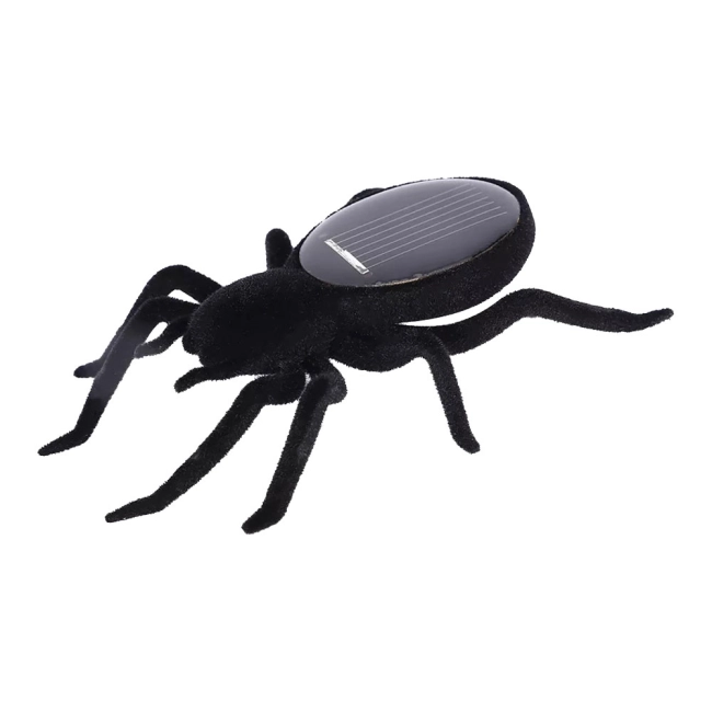 сонячний spider