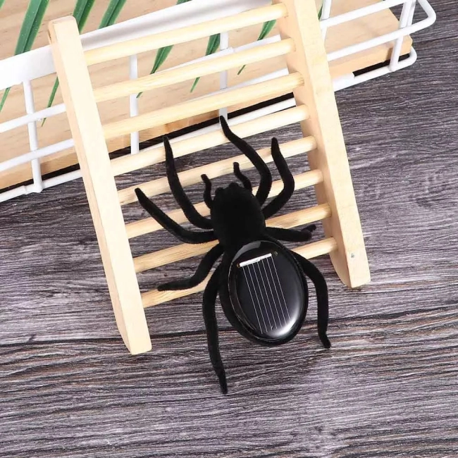 сонячний тарантул