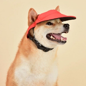 Кепка для собаки от солнца кепка для собаки