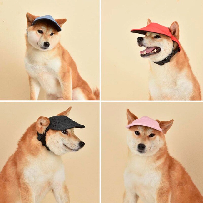 бейсболка для собак