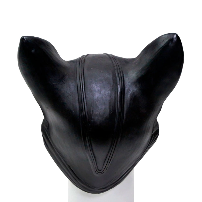 латексна маска кішки