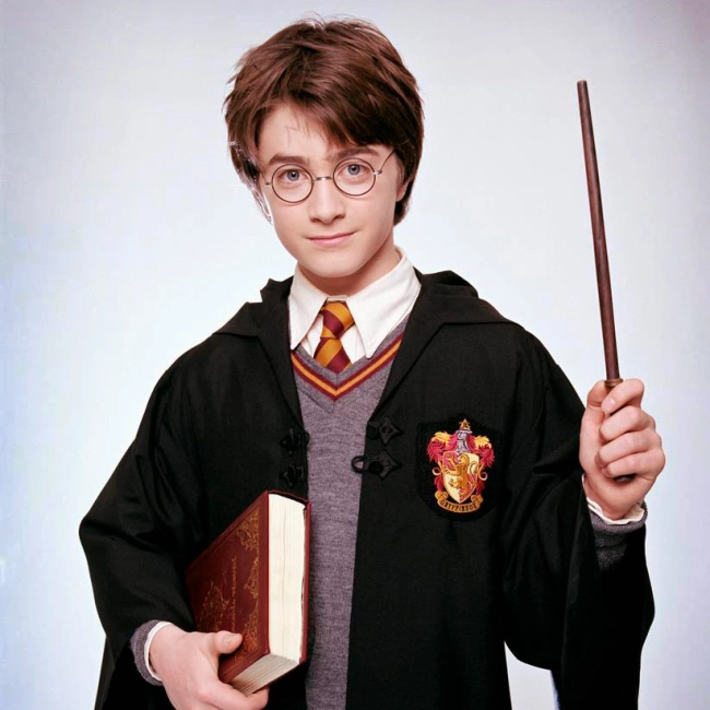 купити паличку гаррі поттера