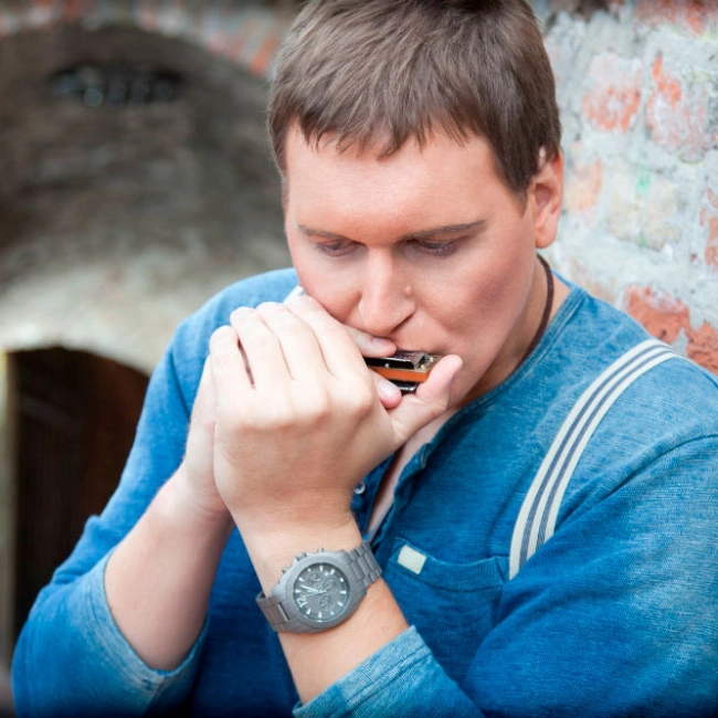 губная гармошка blues harmonica