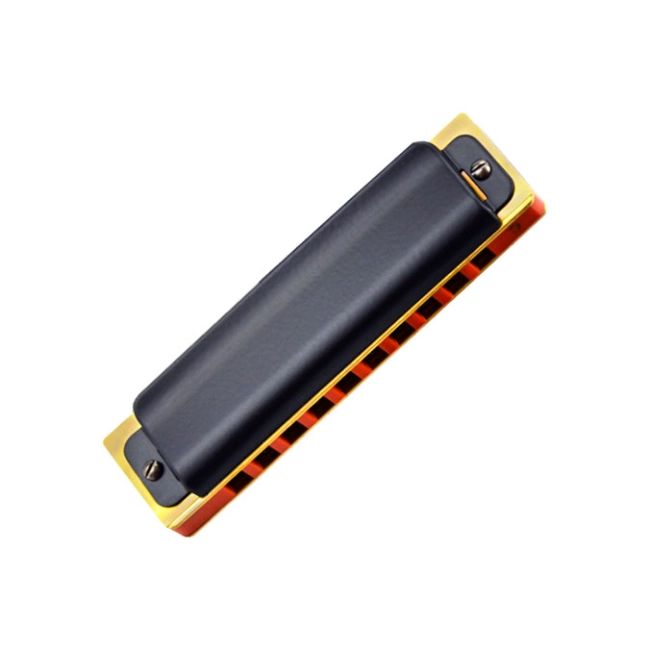 губная гармошка на 10 отверстий