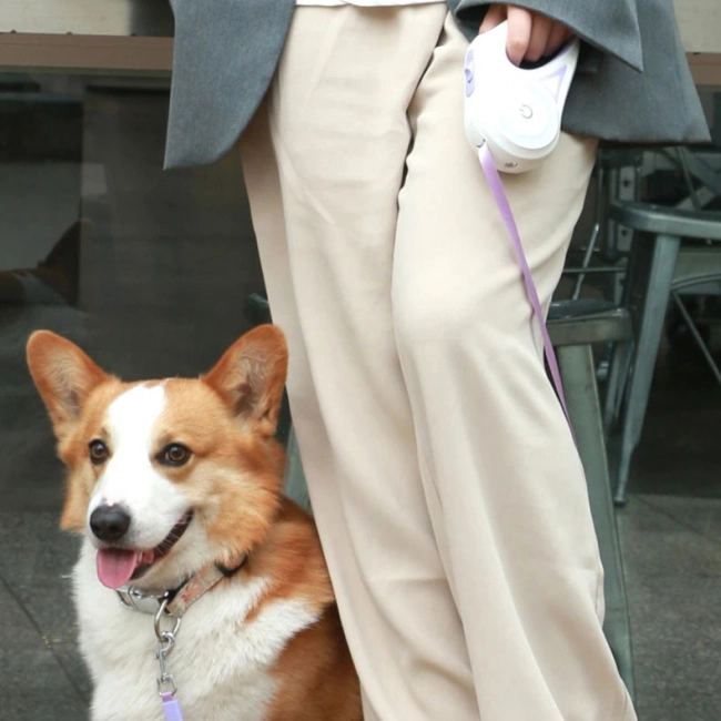 повідець з ліхтариком