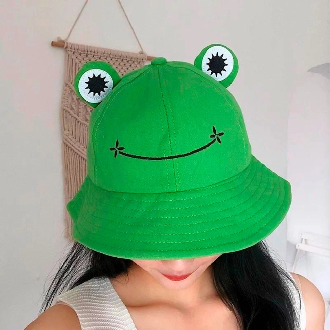 панама лягушка