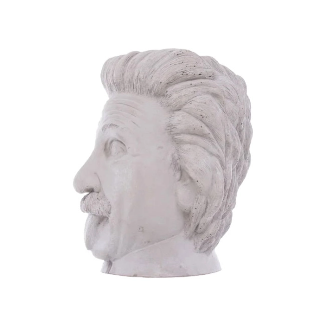 горшок эйнштейн