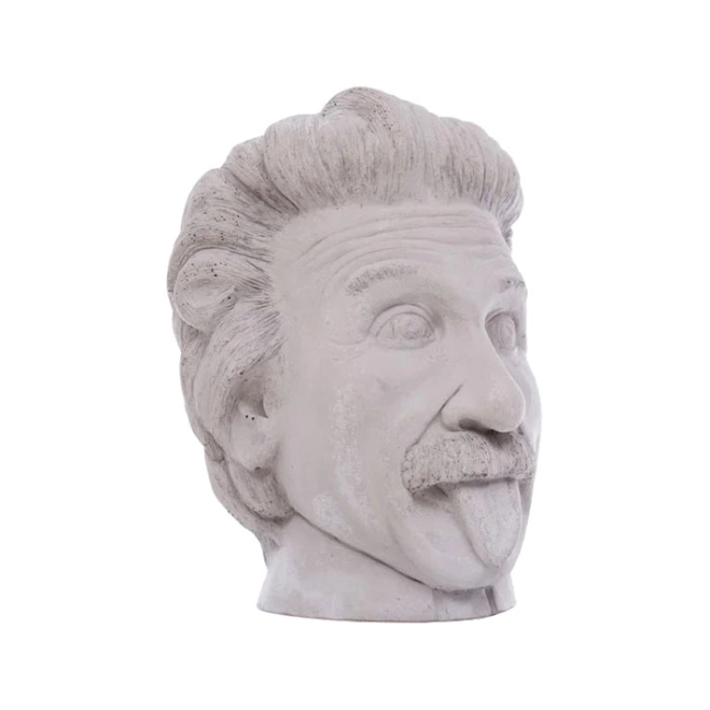 ваза эйнштейн