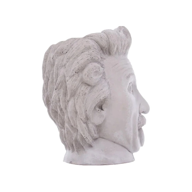 кашпо голова эйнштейна