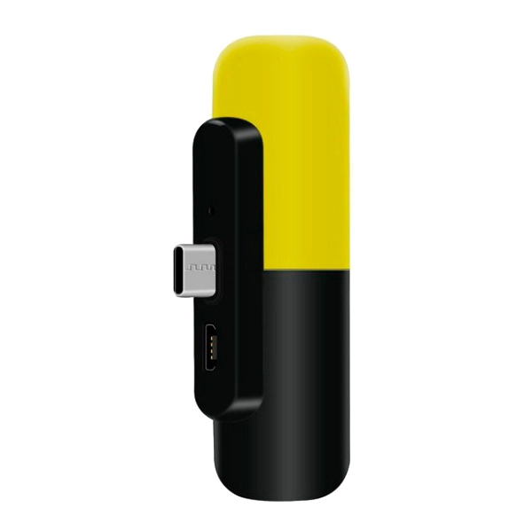 power bank type c