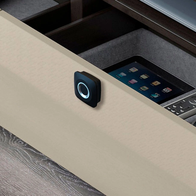 замок для шкафчика с отпечатком пальца