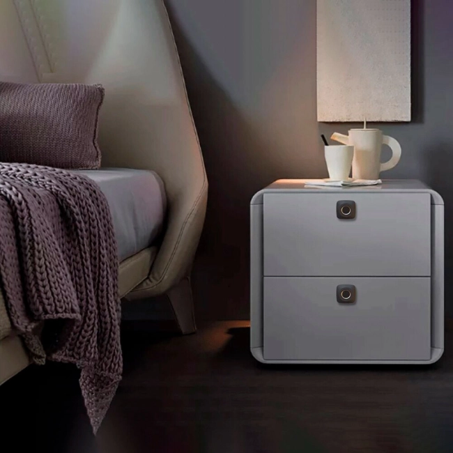 биометрический замок для ящика