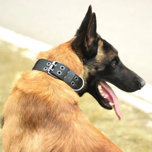 тактический ошейник для собаки