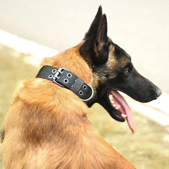 тактичний нашийник для собаки