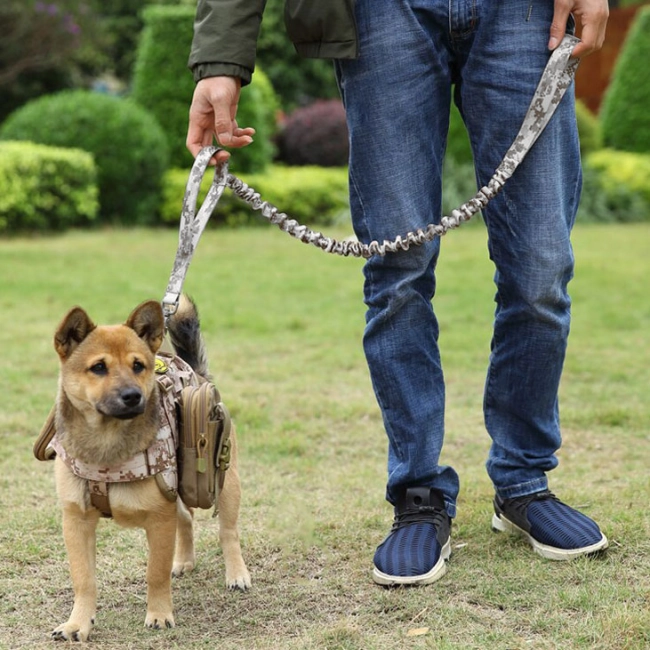 поводок для служебных собак