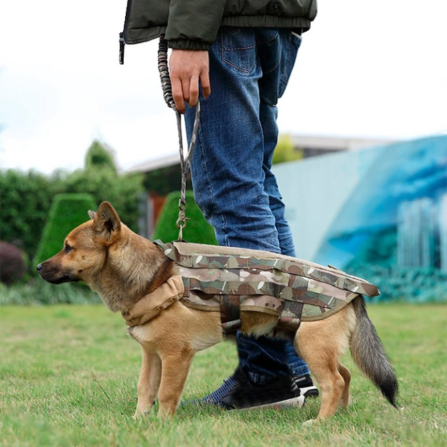 поводок на служебную собаку