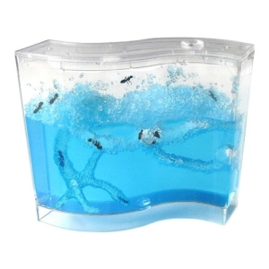 ферма муравьев