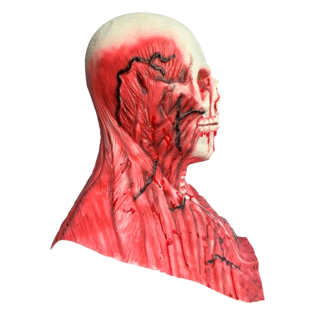 реалистичная маска черепа