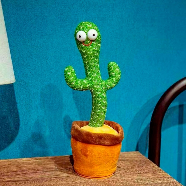 кактус танцует в горшке