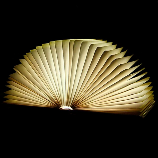 купить книгу светильник