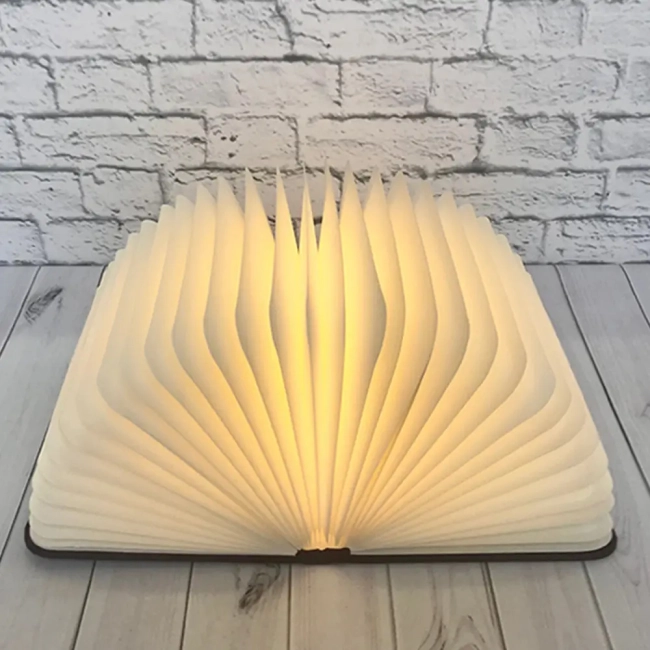 ночник книга