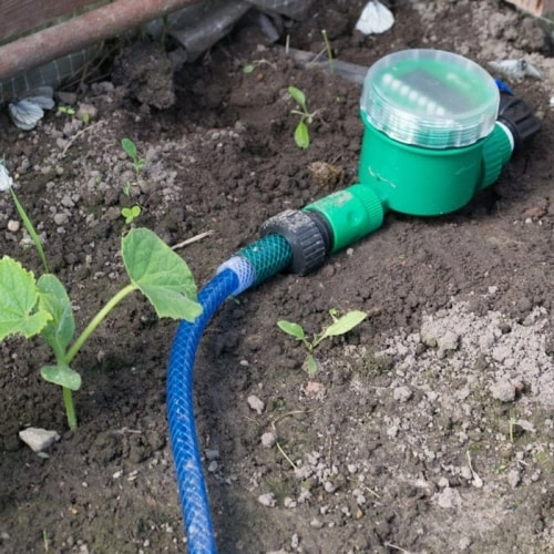 таймер для подачі води