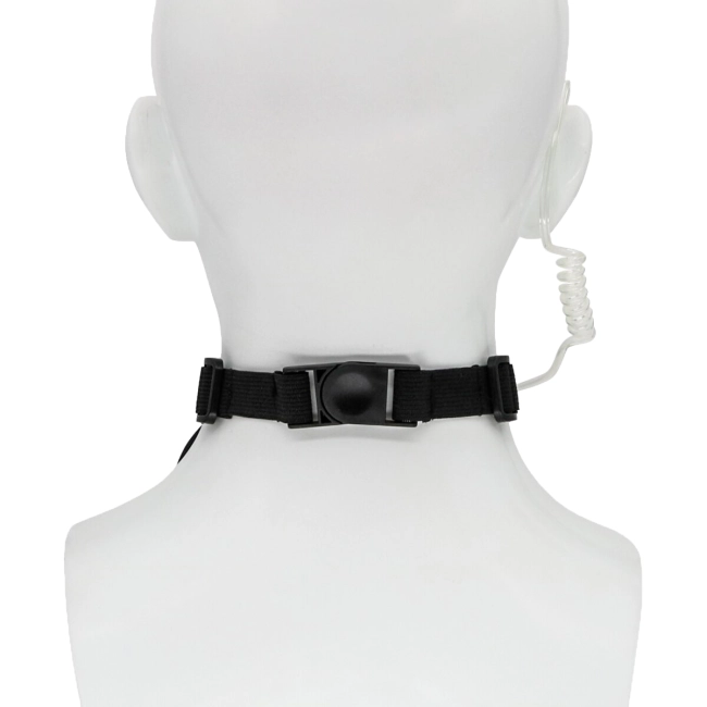 ΠΊΡΠΏΠΈΡΡ ΡΠ°ΠΊΡΠΈΡΠ΅ΡΠΊΡΡ Π³Π°ΡΠ½ΠΈΡΡΡΡ Ρ ΠΌΠΈΠΊΡΠΎΡΠΎΠ½ΠΎΠΌ