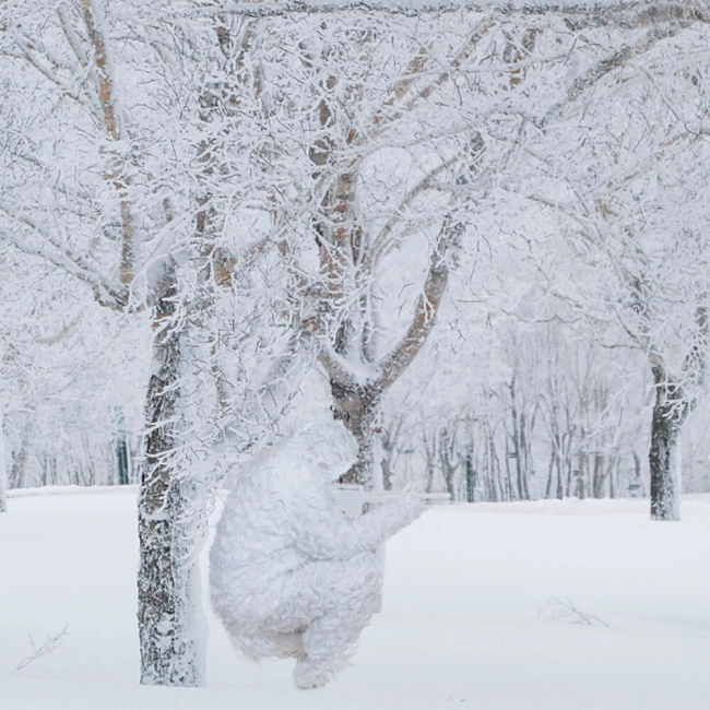 костюм зимний белый для маскировки