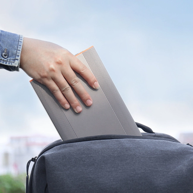 станция зарядная с розеткой 220 вольт