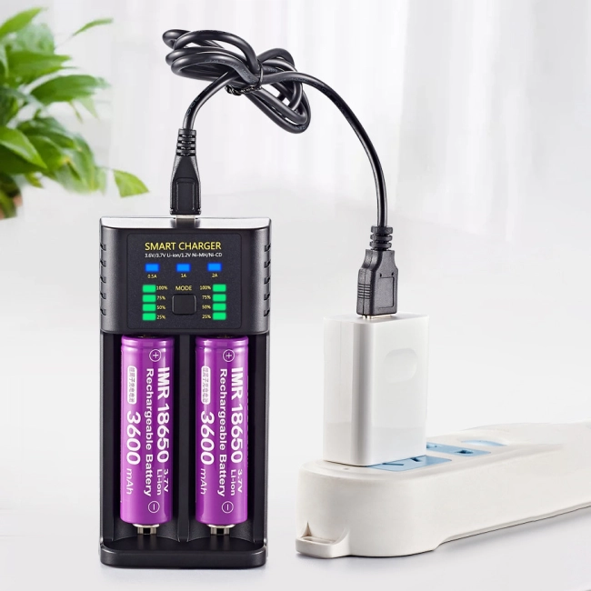 зарядний пристрій для акумуляторів з індикатором заряду