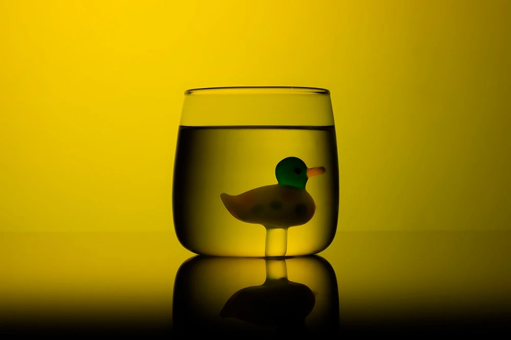 Стакан с уткой на дне