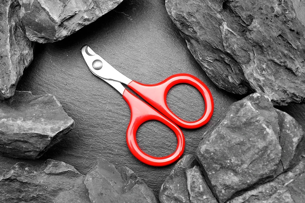 Ножиці для стрижки кігтів котів