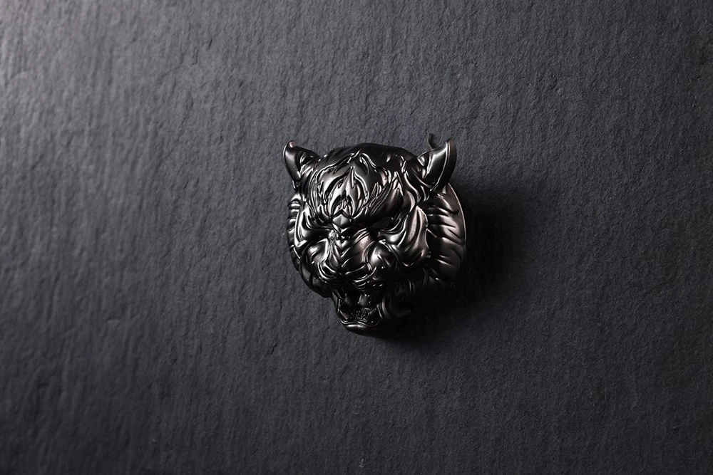 Защита для зажигания в автомобиль Тигр