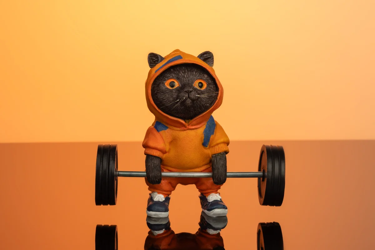 Фігурка з котом та штангою