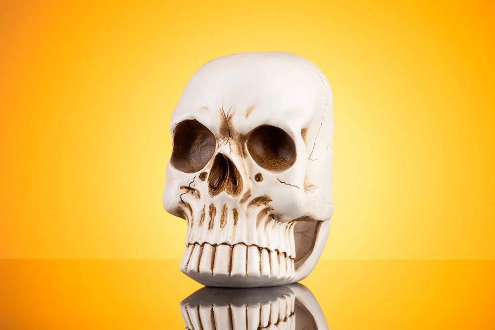 Подставка для ершика в виде Черепа